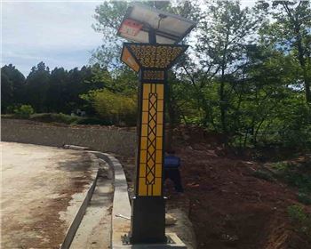 商洛洛南景村鎮(zhèn)太陽能景觀燈項目